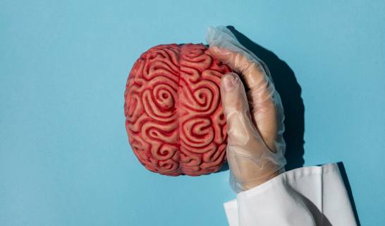 Brain